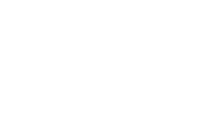 Zurich instruments logo